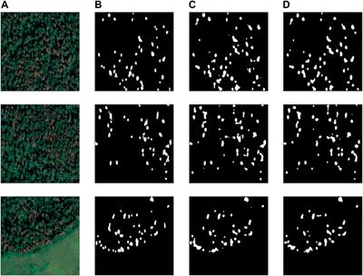 Remote sensing data fusion approach for estimating forest degradation: a case study of boreal forests damaged by Polygraphus proximus
